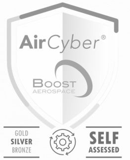 AirCyber SILVER Self Assessed